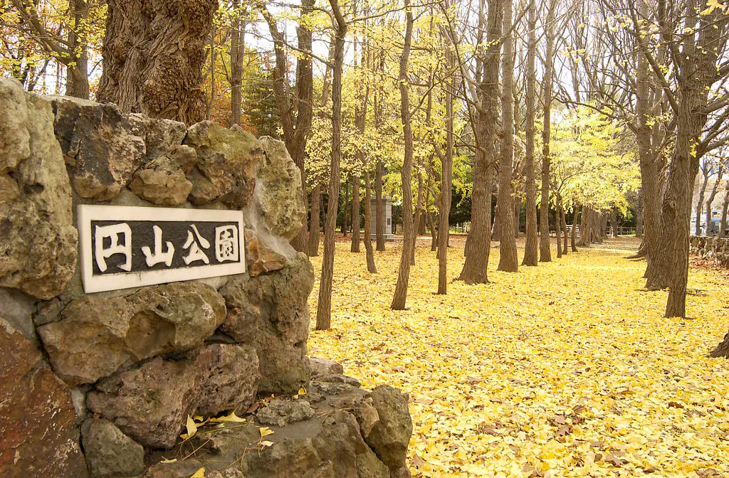 圓山公園一日遊:四季美景、賞櫻、周邊景點、交通一次搞定! 圓山公園一日遊:四季美景、賞櫻、周邊景點、交通一次搞定!