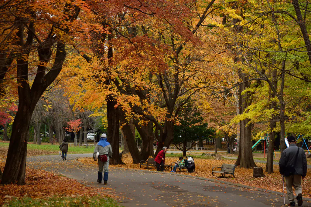 圓山公園一日遊:四季美景、賞櫻、周邊景點、交通一次搞定! 圓山公園一日遊:四季美景、賞櫻、周邊景點、交通一次搞定!