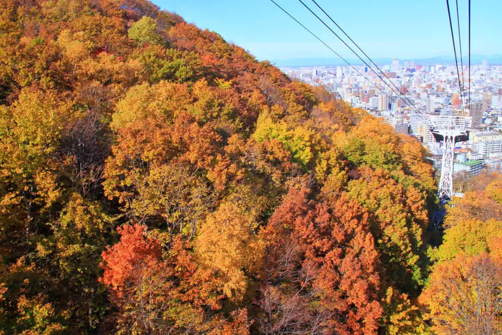 如何前往藻岩山？愛之鐘、纜車、登山步道與夜景拍照全攻略！