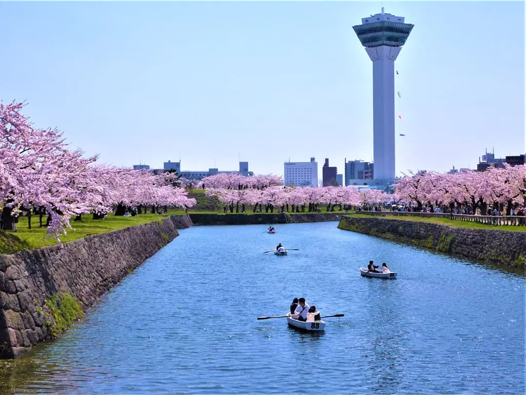 五稜郭公園怎麼去？2025賞櫻、五稜郭塔與交通資訊一次公開！