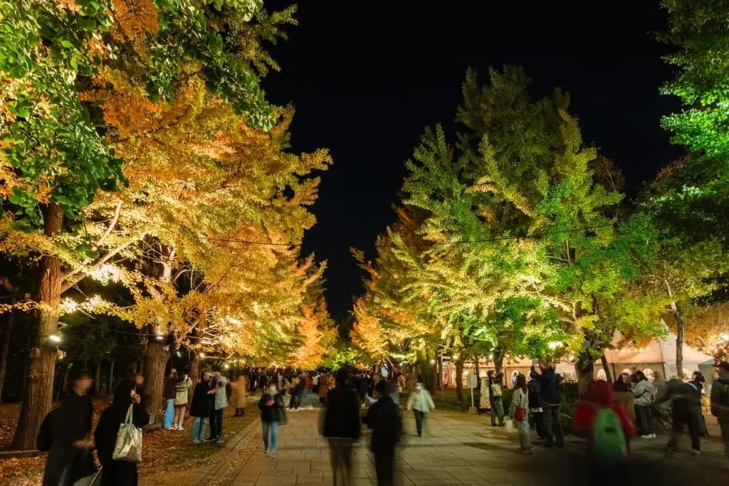 MYSTAYS札幌中島公園飯店｜平價、設施實用 公園旁的安靜選擇