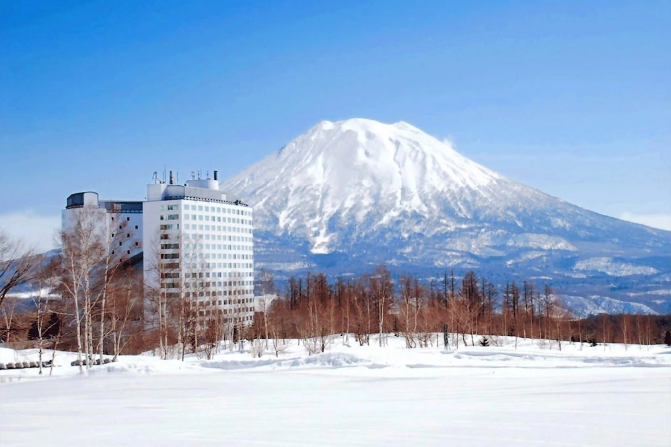 新雪谷村希爾頓酒店